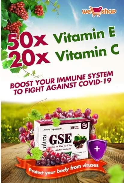 Materials Wellshop Corporation Materials Wellshop Corporation